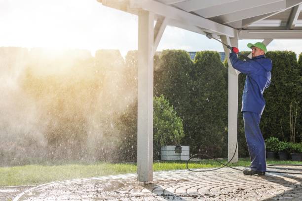 Best Warehouse Cleaning  in Mccordsville, IN